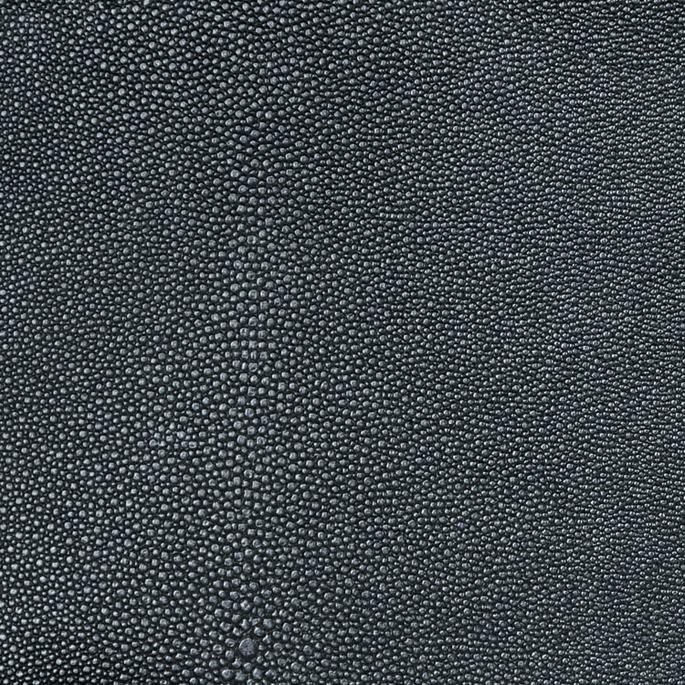 Nassimi Shagreen Barracuda Vinyl image 1 of 2