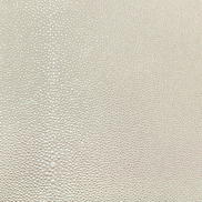 Nassimi Shagreen Quartz Vinyl