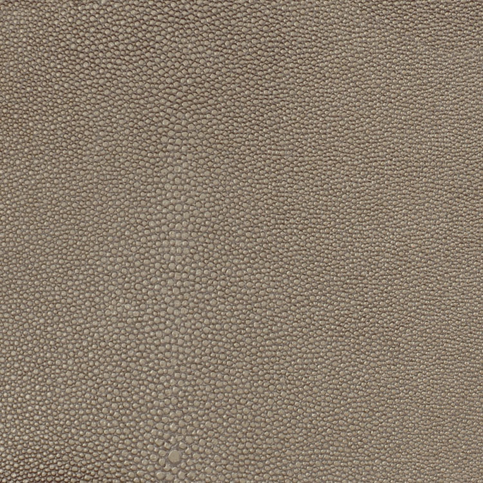 Nassimi Shagreen Chia Vinyl image 1 of 1