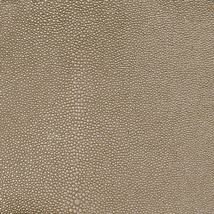 Nassimi Shagreen Sesame Vinyl image 1 of 2