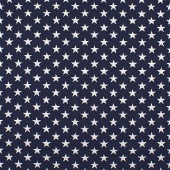 Stars Blue Canvas Fabric
