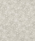 Kravet Starry Sky Wheat Fabric