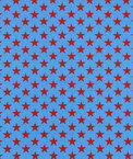 Premier Prints Stars Powder Blue Canvas Fabric