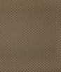 Kravet Stein Etruscan Fabric