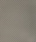 Kravet Stein Porcini Fabric