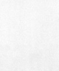 White Microsuede Fabric