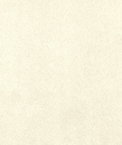 Butter Cream Microsuede Fabric