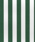 Suntex Sun Duck Forest Green Stripe Fabric