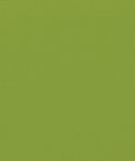 Suntex Sun Duck Lime Fabric