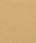 Suntex Sun Duck Toast Tan Fabric