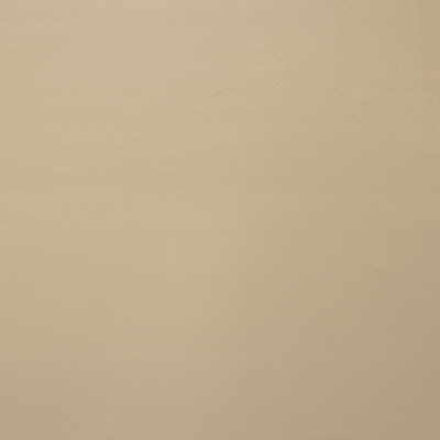 Kravet SUTTER.16 Fabric