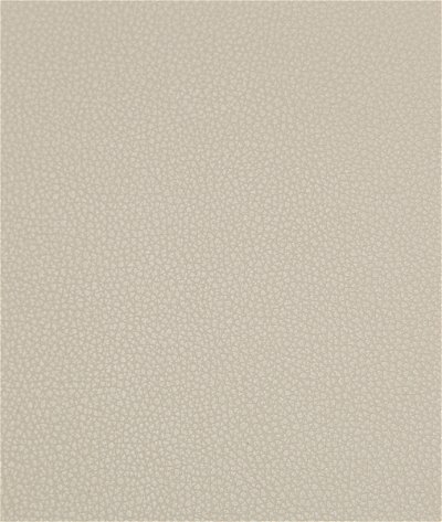 Kravet Syrus Stone-1116 Fabric