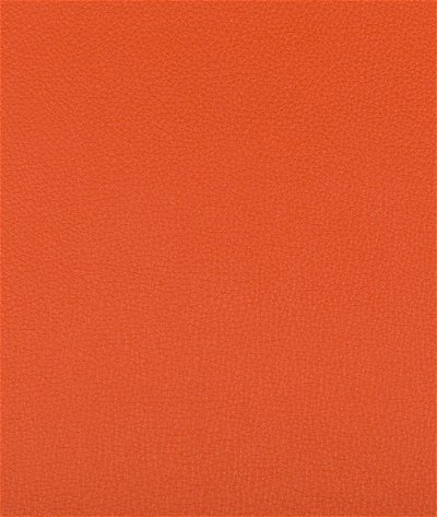 Kravet Syrus Mandarin Fabric