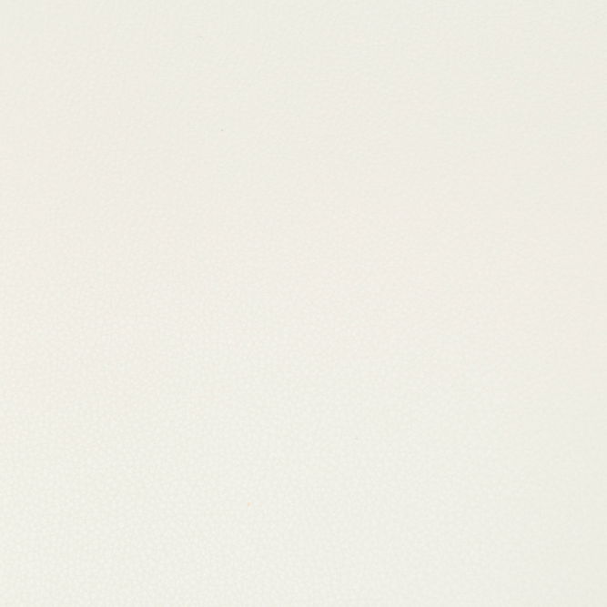 Kravet Syrus Gesso Fabric