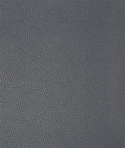 Kravet Syrus Iron Fabric