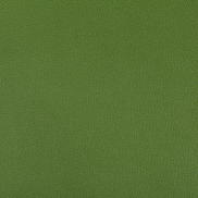 Kravet Syrus Bonsai Fabric