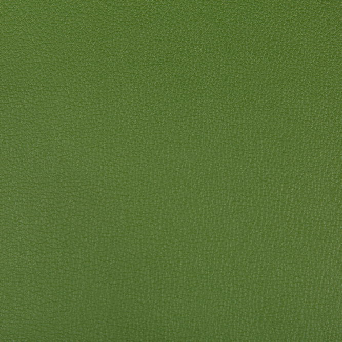Kravet Syrus Bonsai Fabric