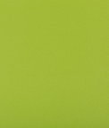 Kravet Syrus Matcha Fabric