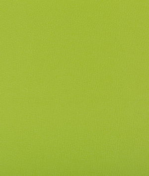 Kravet Syrus Matcha Fabric