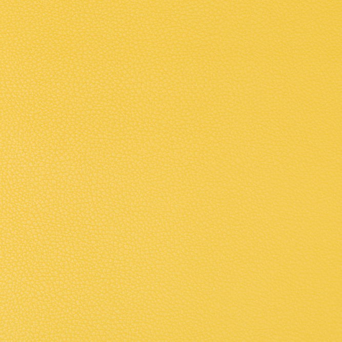 Kravet Syrus Sunshine Fabric
