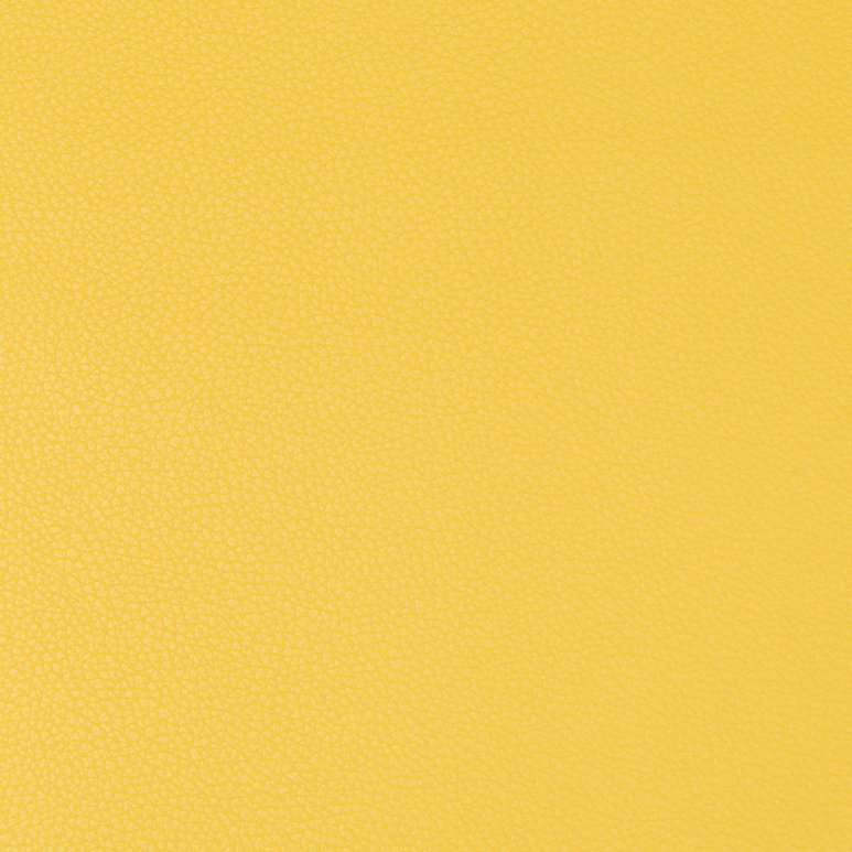 Kravet Syrus Sunshine Fabric