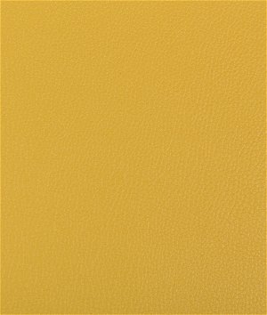 Kravet Syrus Mustard Fabric