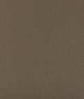 Kravet Syrus Porcini Fabric