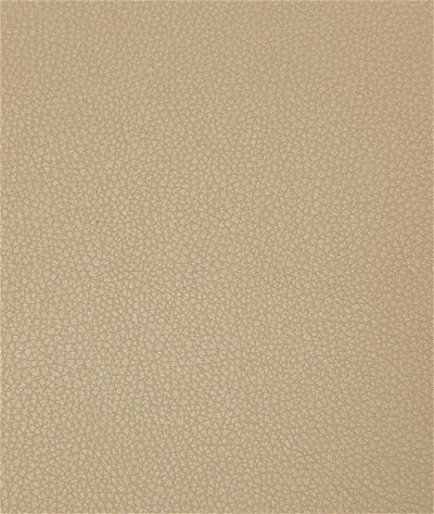 Kravet Syrus Quicksand Fabric