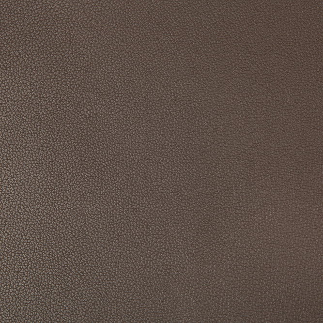 Kravet Syrus Espresso Fabric