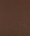 Kravet Syrus Chocolate Fabric