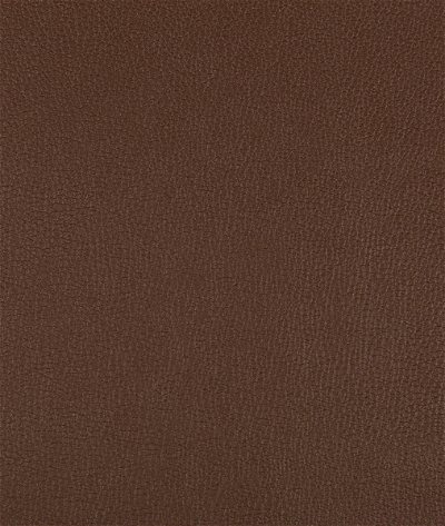 Kravet Syrus Chocolate Fabric