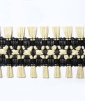 Pindler & Pindler Capa Coal