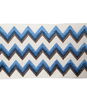 Pindler & Pindler Exploration Ocean
