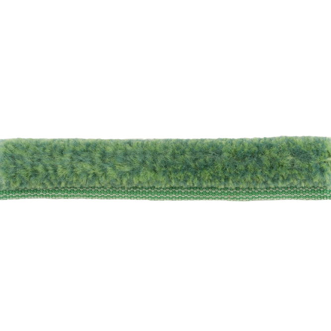 Brunschwig &amp; Fils BF Cord Trim - T8015508.315