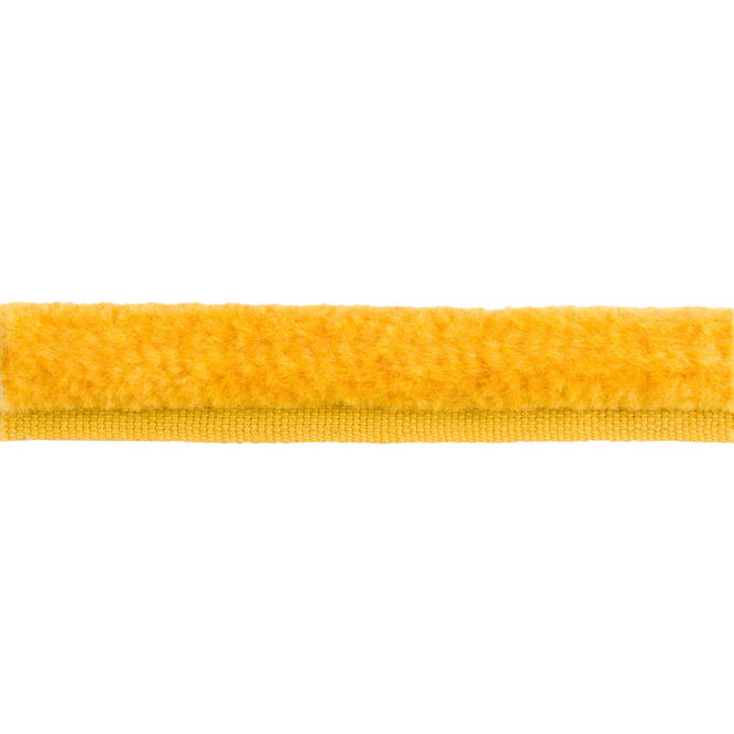 Brunschwig &amp; Fils BF Cord Trim - T8015508.40