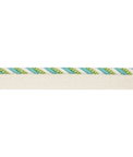 Brunschwig & Fils Carimar Cord Lagoon Outdoor Trim