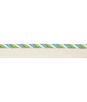 Brunschwig & Fils Carimar Cord Lagoon Outdoor Trim