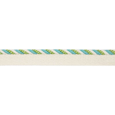 Brunschwig &amp; Fils Carimar Cord Lagoon Outdoor Trim
