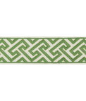 Brunschwig & Fils Sanchi Tape Kiwi Braid / Tape Trim