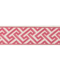 Brunschwig & Fils Sanchi Tape Pink Braid / Tape Trim