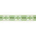 Brunschwig & Fils Ganden Tape Green Braid / Tape Trim