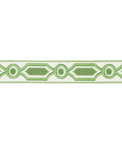 Brunschwig & Fils Ganden Tape Green Braid / Tape Trim
