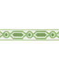 Brunschwig & Fils Ganden Tape Green Braid / Tape Trim