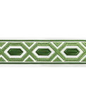 Brunschwig & Fils Avril Tape Leaf Tapes Trim