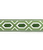 Brunschwig & Fils Avril Tape Leaf Tapes Trim