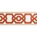 Brunschwig & Fils Cerise Tape Spice Tapes Trim