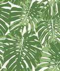 Seabrook Designs Jamaica Basil Green & White Wallpaper
