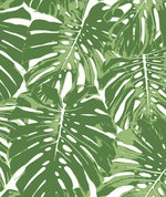 Seabrook Designs Jamaica Basil Green & White Wallpaper