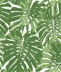 Seabrook Designs Jamaica Basil Green & White Wallpaper