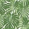 Seabrook Designs Jamaica Basil Green & White Wallpaper - Image 1